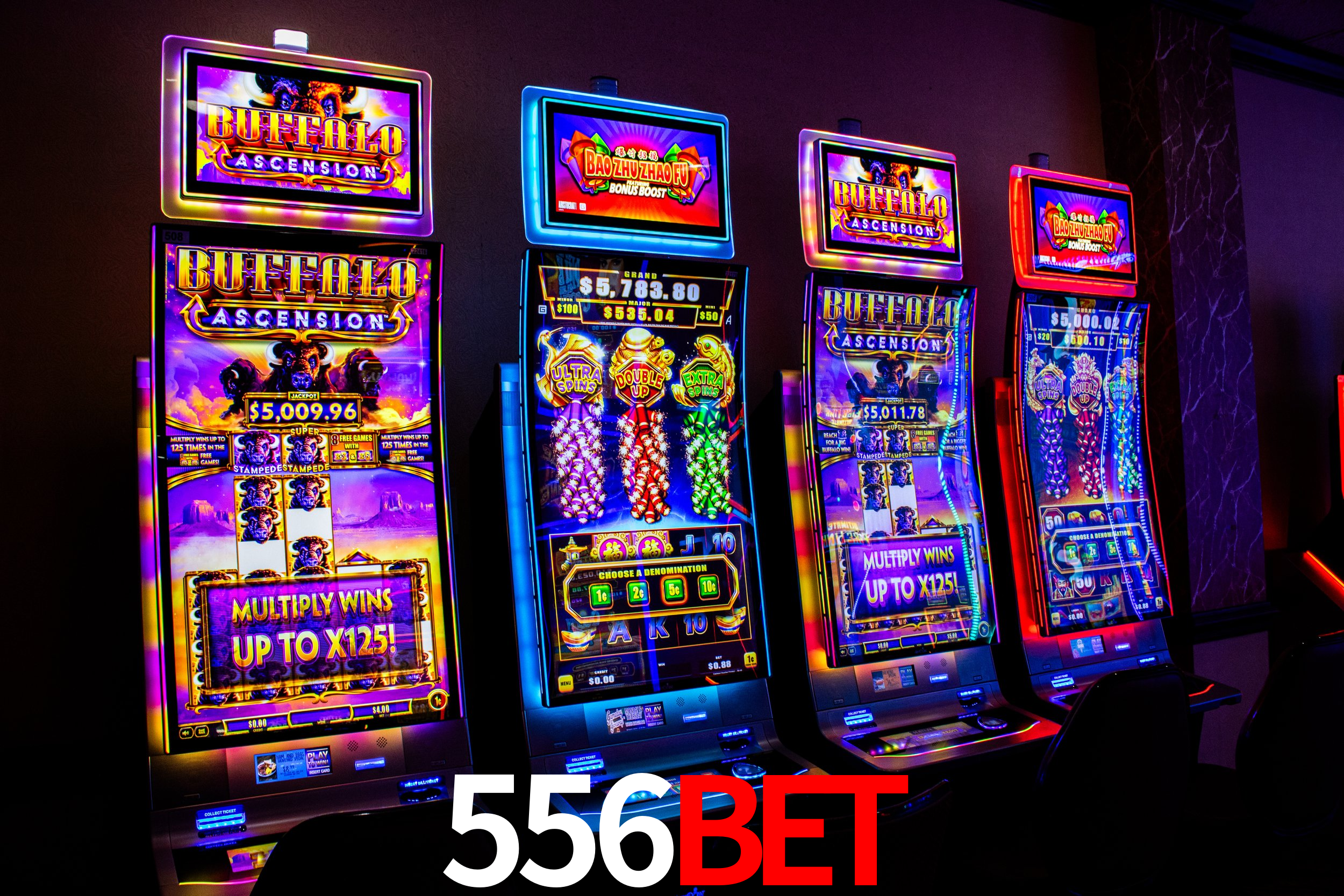 556bet.com
